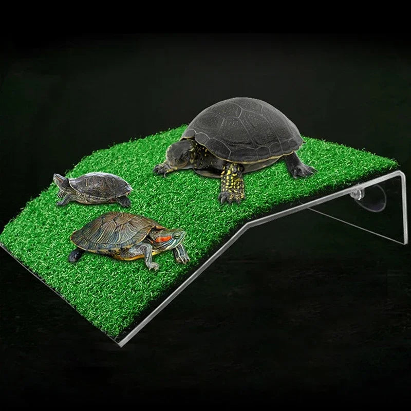 A large green turtle is shown on a platform of artificial grass with suction cups.
