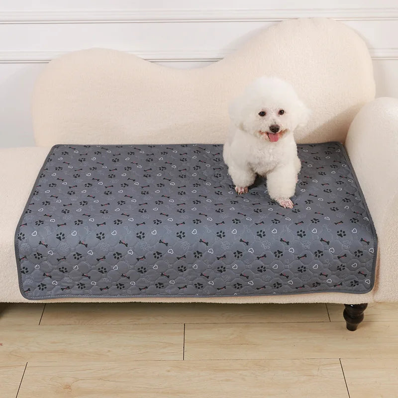 Un cachorro blanco y esponjoso está sentado en una alfombra desechable para mascotas gris sobre un sofá de color claro.