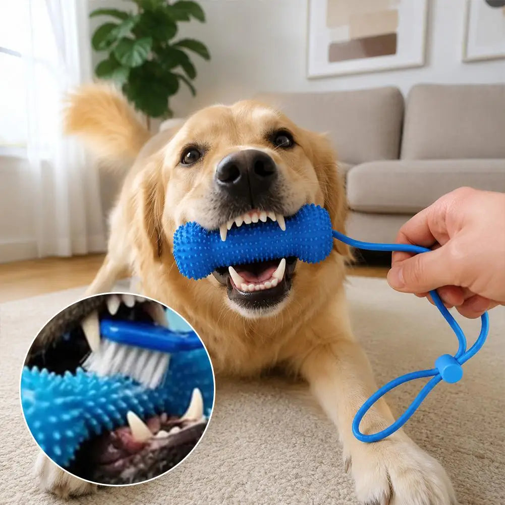 A golden retriever dog is holding a blue chew toy with a strap, demonstrating the durable TPR dog chew toy for dental health 