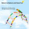 A wooden parrot climbing ladder and swing toy with colorful balls for birds to move naturally.