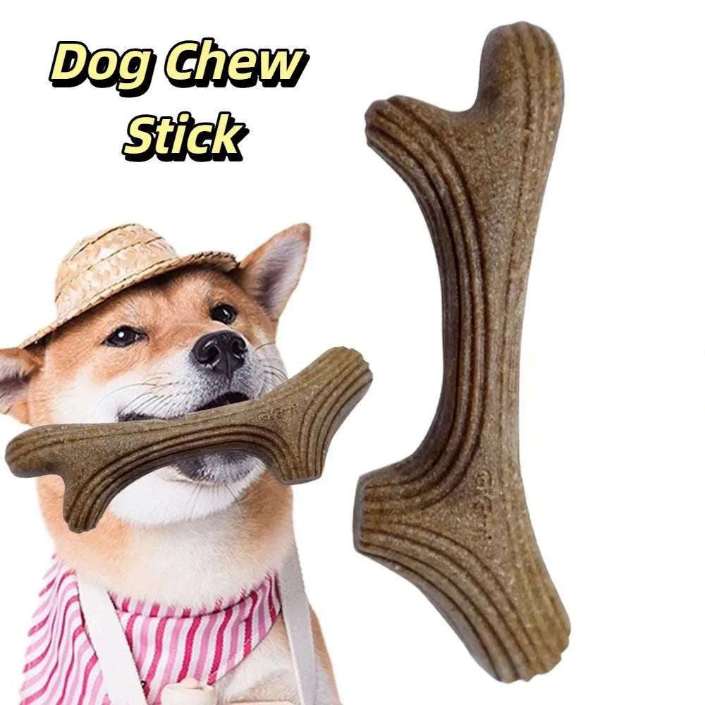 A dog is holding a natural wood chew stick for dogs.