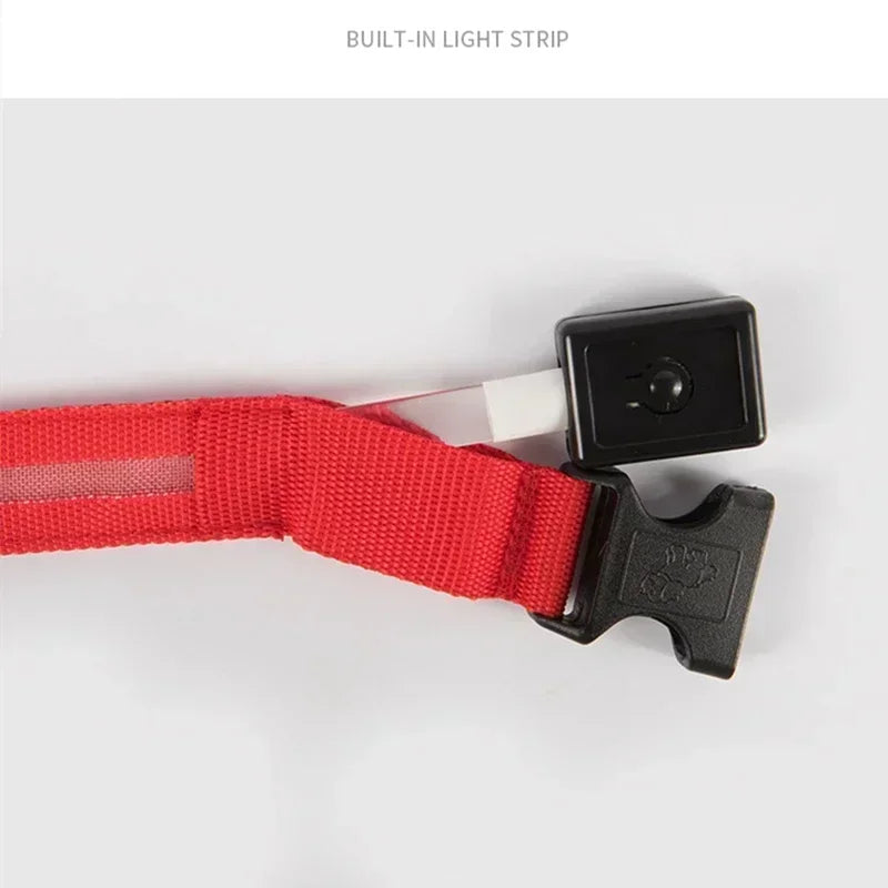 Wiederaufladbare LED-Hundehalsband für Nachtsicherheit
