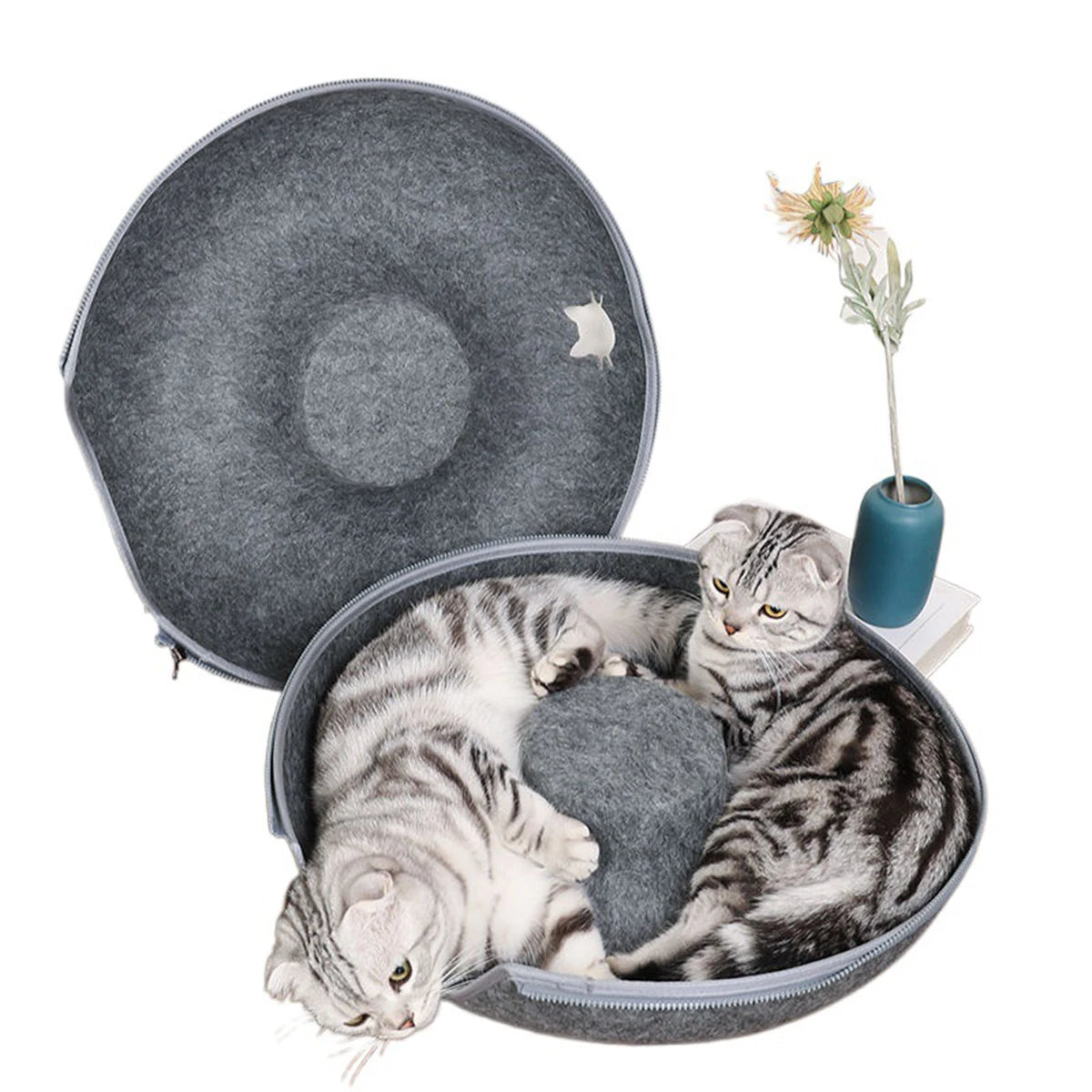 A gray donut-shaped cat bed with an interior play tube, featuring a tabby kitten resting inside.