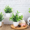 A collection of artificial bonsai potted plants in white ceramic pots displayed on a wooden surface.