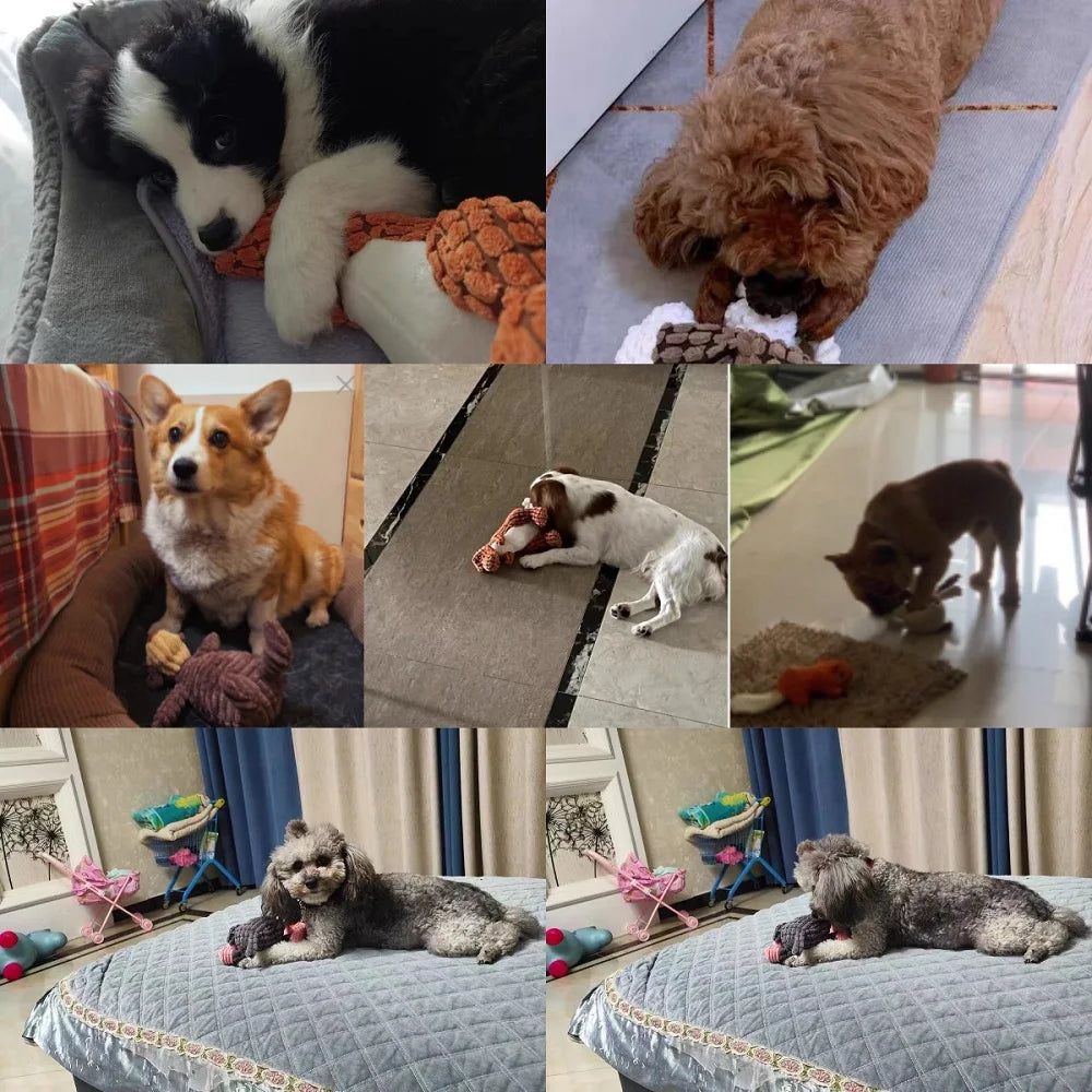 A collection of dog toys including a black and white plush toy, a brown fluffy toy, a small dog toy, and several gray and bro