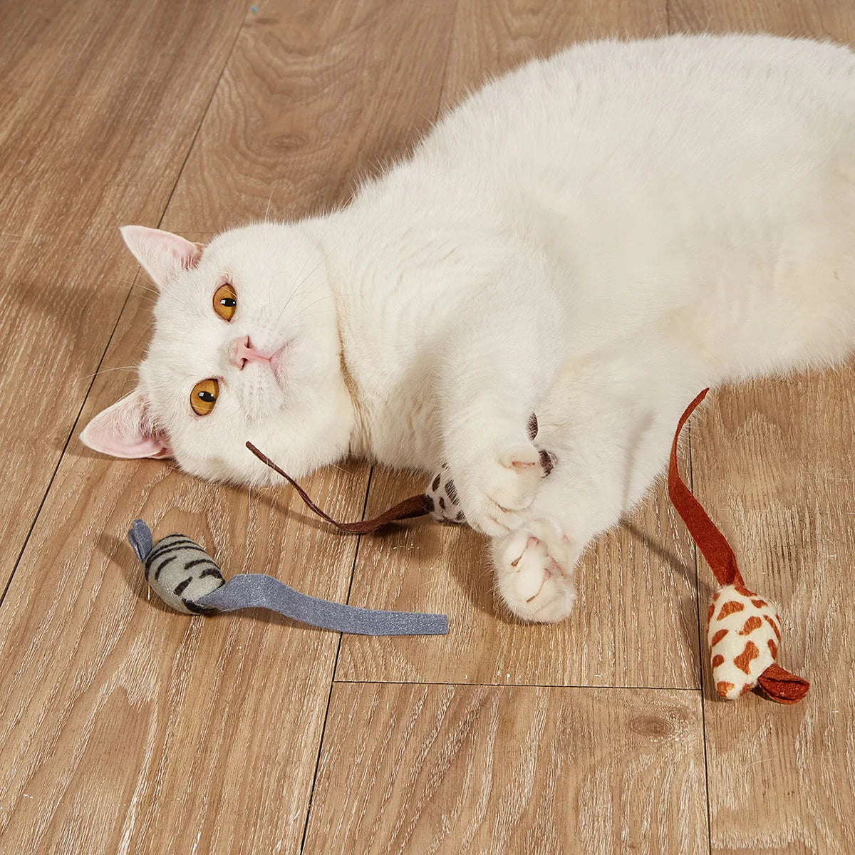 A white cat lying down with a striped toy mouse and a ribbon on a wooden floor.