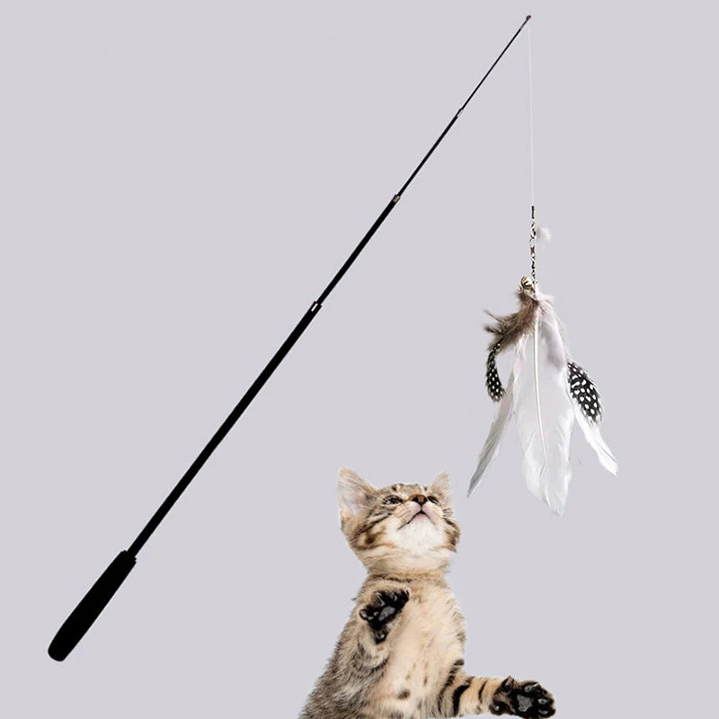 A tabby cat looks up at an extended telescopic cat teaser wand with a feather toy hanging above it.
