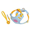 Striped Color-Block Dog Harness with Matching Leash