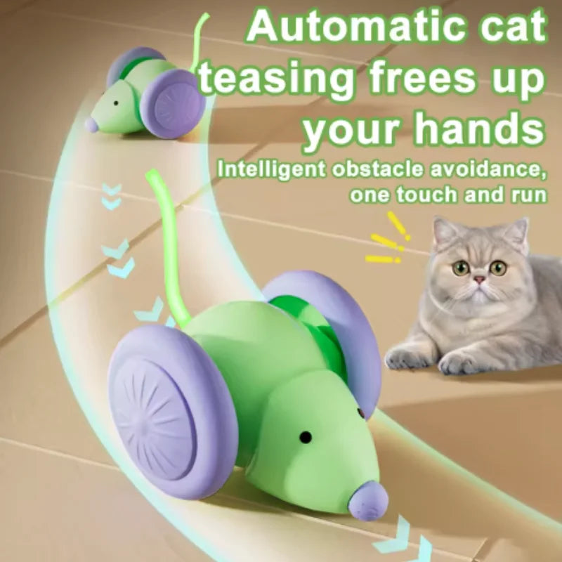 A green and purple rotating cat toy is shown in use, demonstrating automatic teasing that frees up the user's hands.