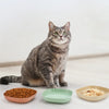 A set of three non-slip shallow bowls for cats and small pets, including a food bowl and two empty bowls.