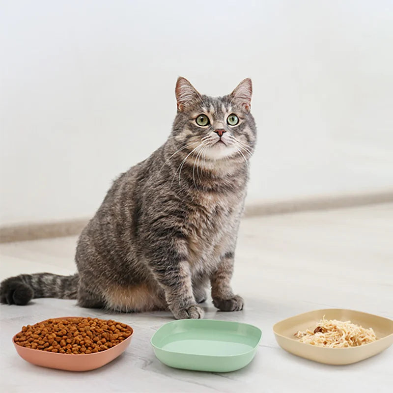 A set of three non-slip shallow bowls for cats and small pets, including a food bowl and two empty bowls.