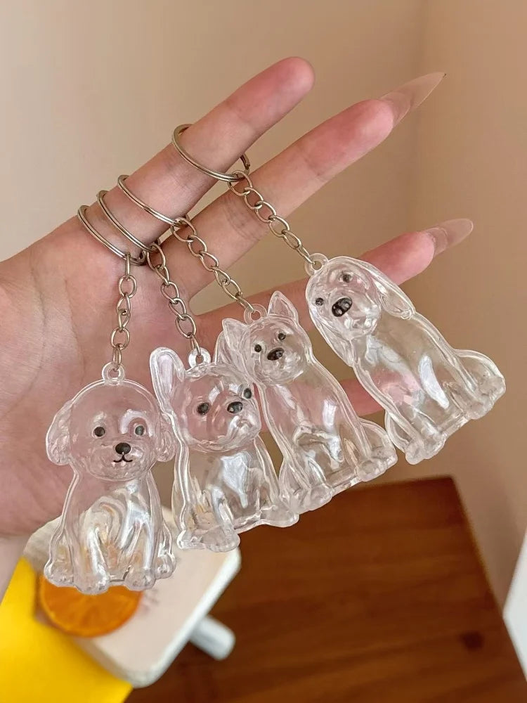 Pet Hair Keepsake Keychain with Transparent Capsule