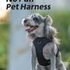 Reflective No-Pull Dog Harness with Quick-Release Buckles
