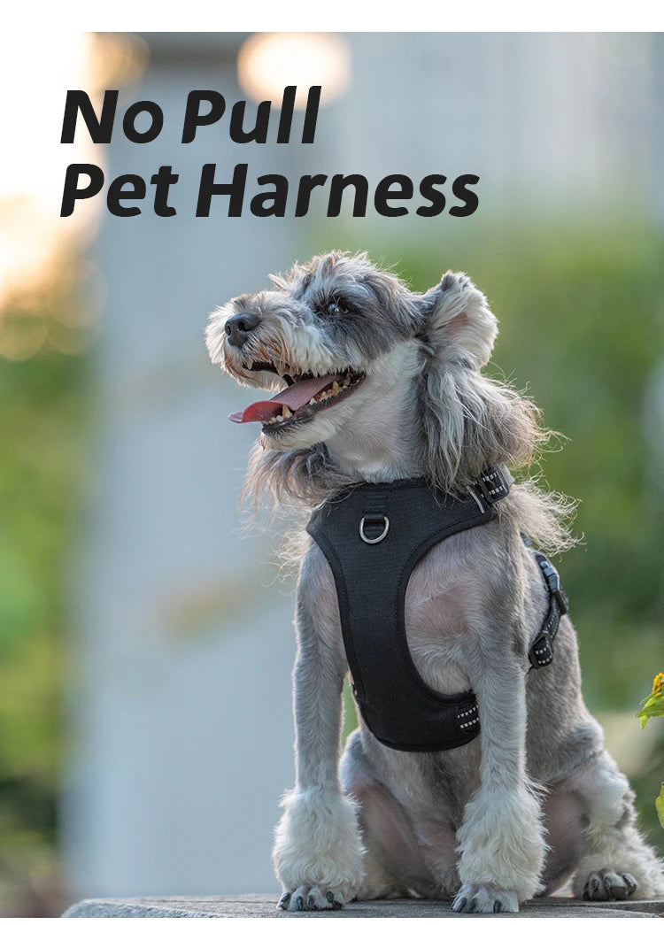 Reflective No-Pull Dog Harness with Quick-Release Buckles