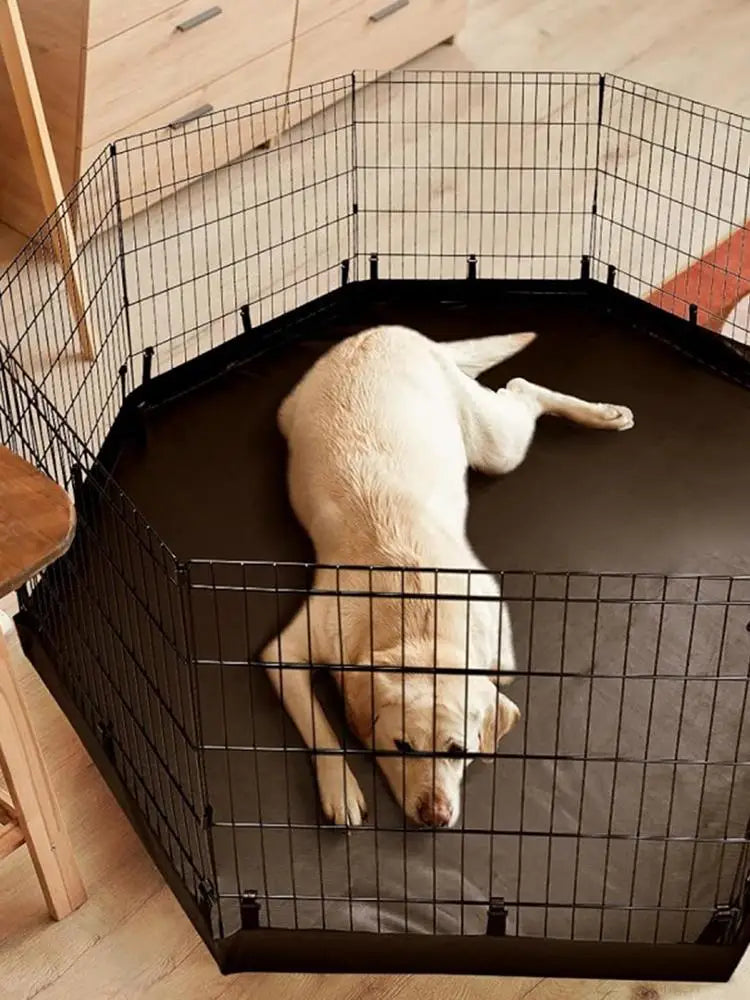 Ein helles Hund liegt in einem schwarzen Drahtkäfig oder einer Transportbox.