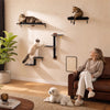 Modular Wall-Mounted Cat Climbing Shelves with Scratching Posts