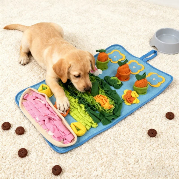 Tapis de Fouille Interactif pour Chien