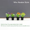 Five random style potted flower trees in black pots displayed on a white surface.