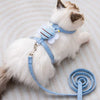 Breathable Mesh Cat & Small Dog Harness with Leash
