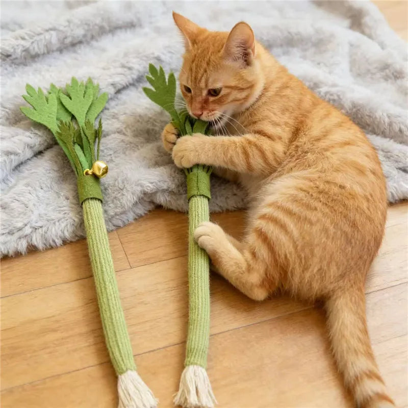 Interactive Catnip Chew Toy for Dental Health & Play