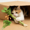Interactive Catnip Chew Toy for Dental Health & Play
