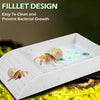 Reptile Food and Water Bowl with Anti-Slip Ramp