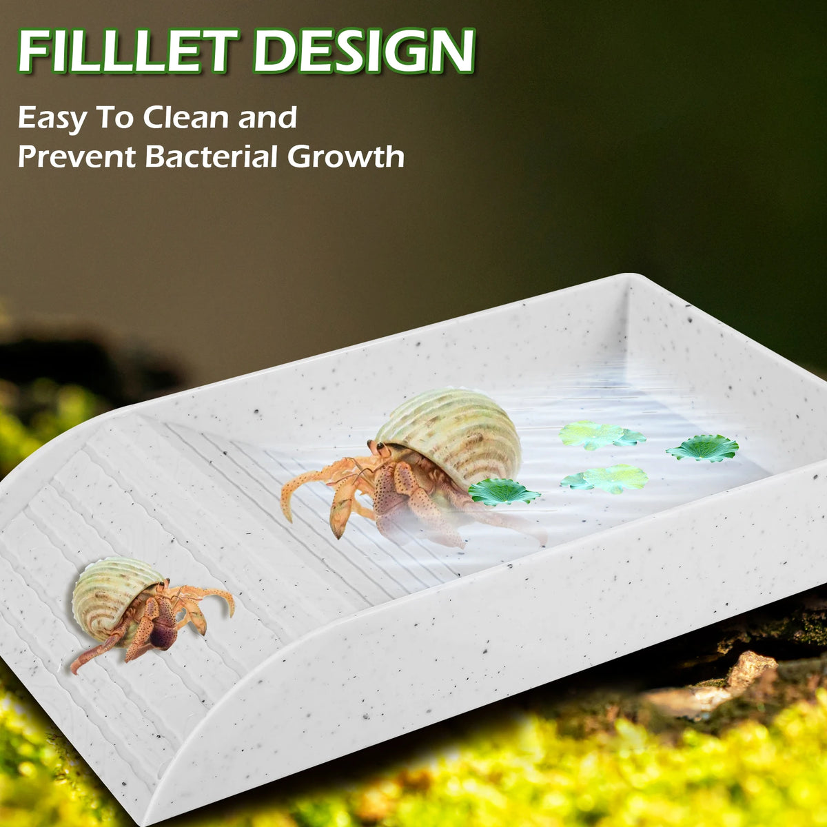Reptile Food and Water Bowl with Anti-Slip Ramp