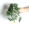 Realistic Artificial Monstera Potted Plant