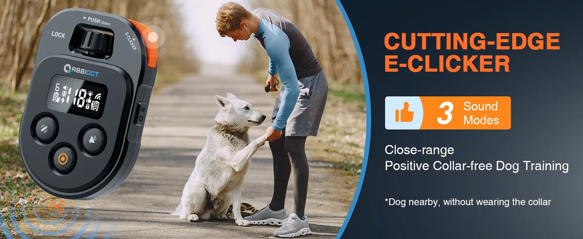 A person is using a cutting-edge e-clicker dog training collar outdoors with a dog.