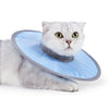 A fluffy gray cat wearing a light blue veterinary recovery collar.