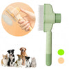 Pet Hair Remover Brush for Dogs and Cats
