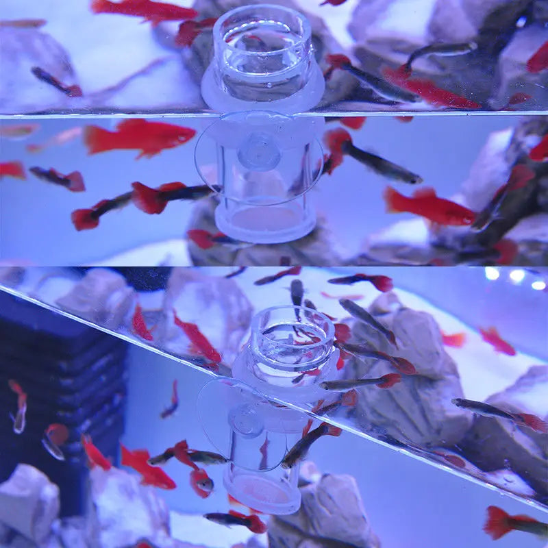 Clear Acrylic Aquarium Feeding Cup Ring Anti-drift Betta Fish Feeder