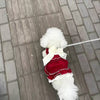 Elegant Cotton Pet Dress with Bow for Small Dogs and Cats