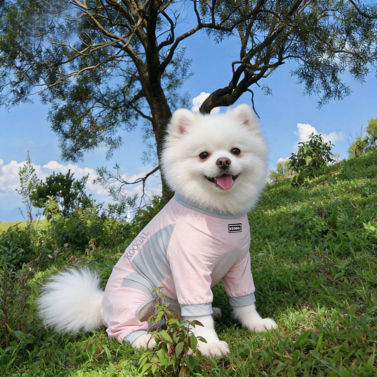 Pet Cooling Full-Body Suit for Summer Heat Relief