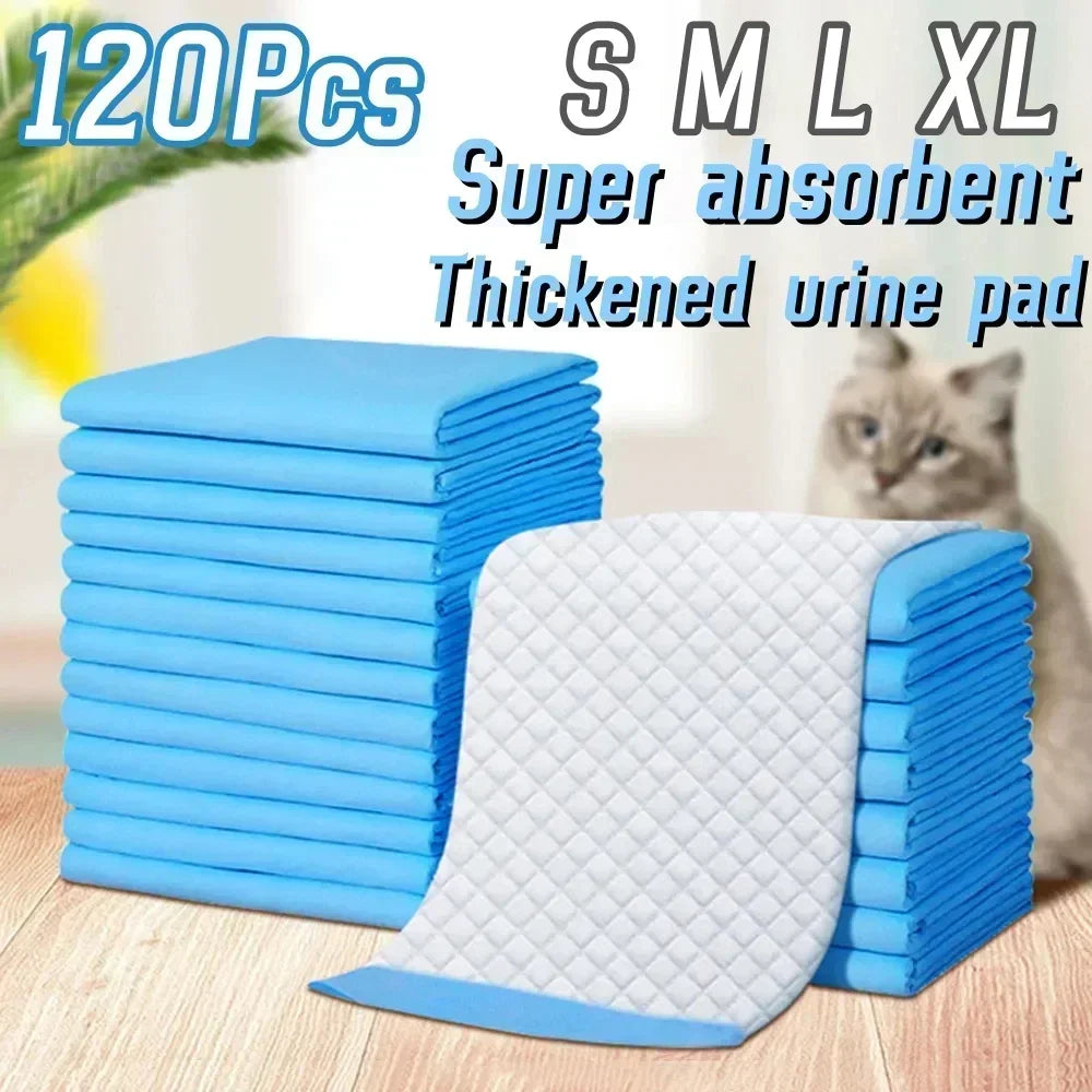 A stack of blue and white super absorbent thickened urine pads is shown next to a cat.