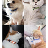 Reflective Cat Collar with Detachable Bell