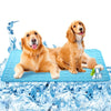 A golden retriever dog lying on a blue cooling pet mat surrounded by ice cubes.