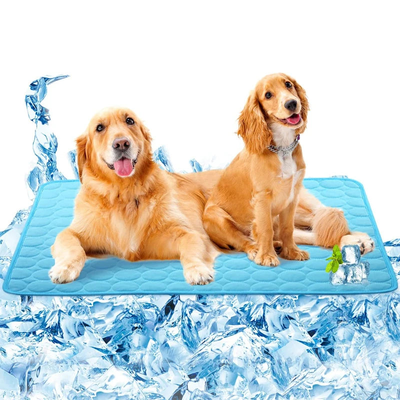 A golden retriever dog lying on a blue cooling pet mat surrounded by ice cubes.