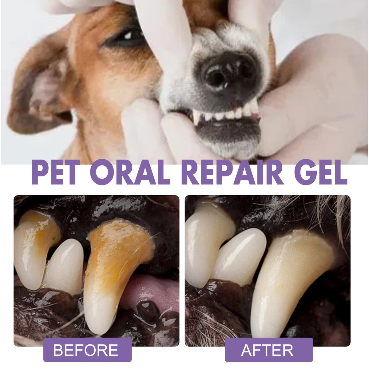 Easy-Apply Oral Care Gel for Dogs & Cats