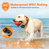 Un perro dorado corre por el agua con un collar de entrenamiento eléctrico, demostrando su clasificación impermeable IP67