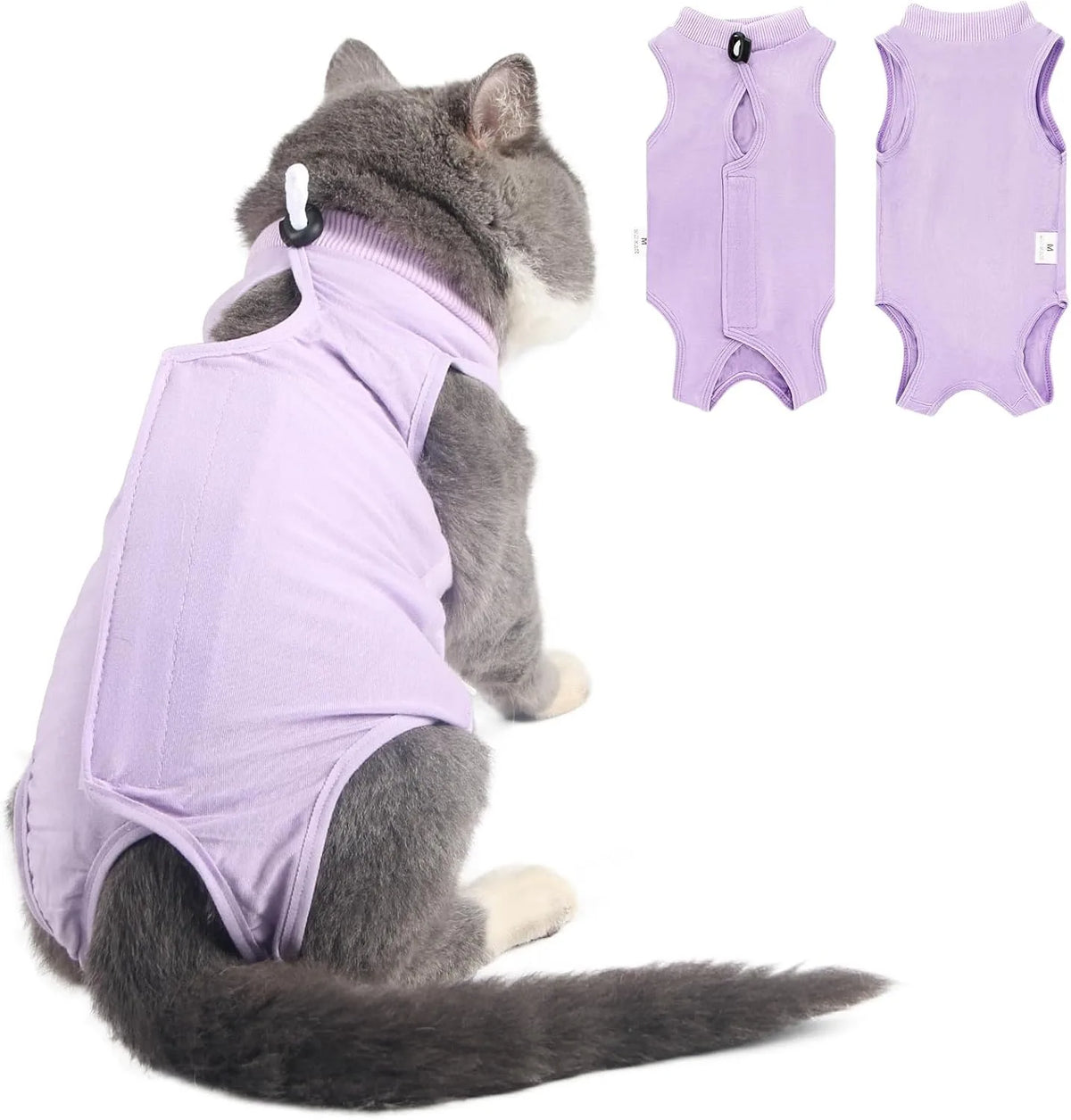 A gray cat wearing a purple post-surgery recovery suit, shown alongside separate suits.