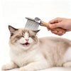 Un chat est en train d'être brossé avec une brosse et un râteau pour la déshemmage professionnel.
