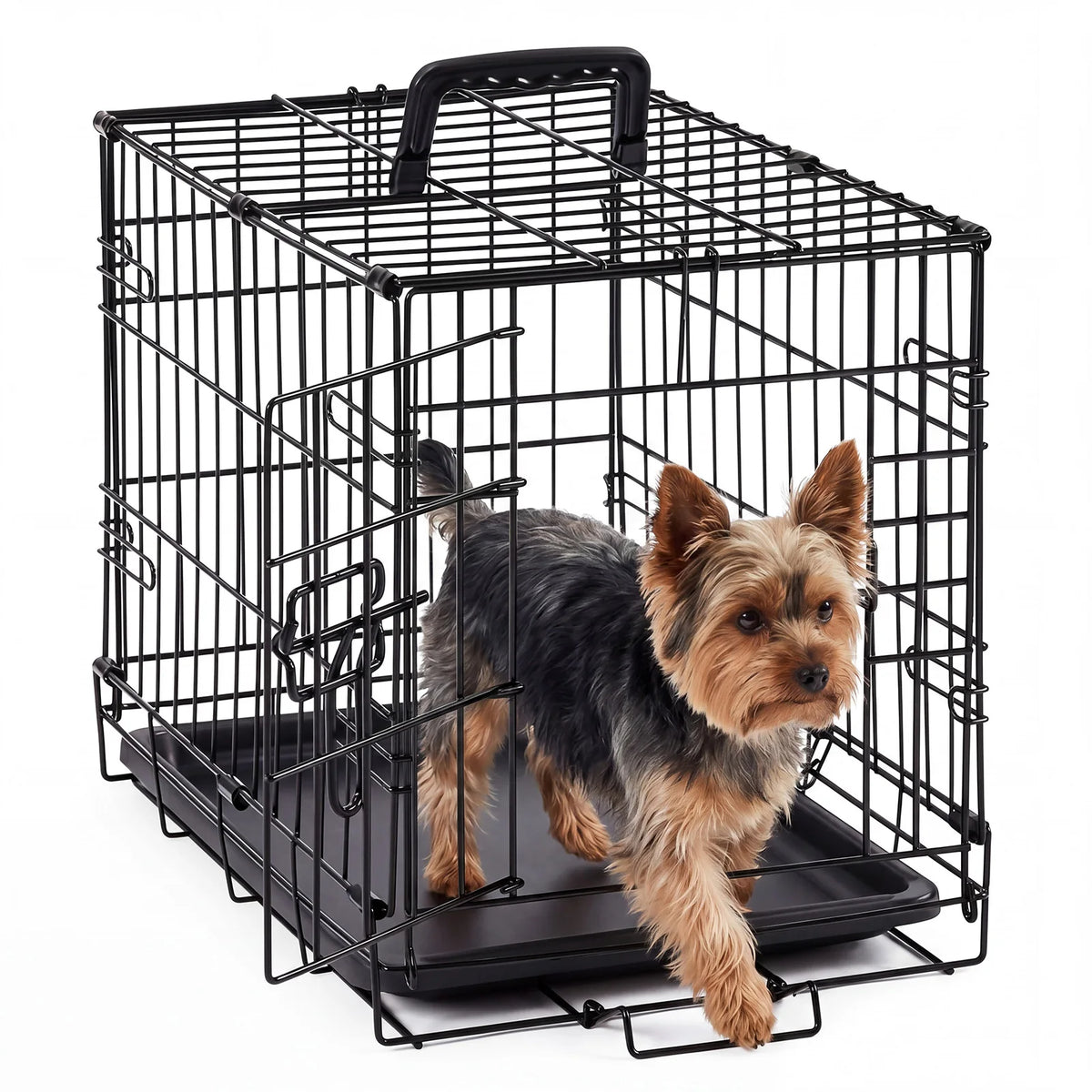 Small Dog Crate — Foldable Metal Kennel with Secure Locks & Removable Tray