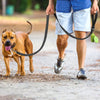 Reflective Dog Harness Collar and Leash Set (1.2-1.8m)