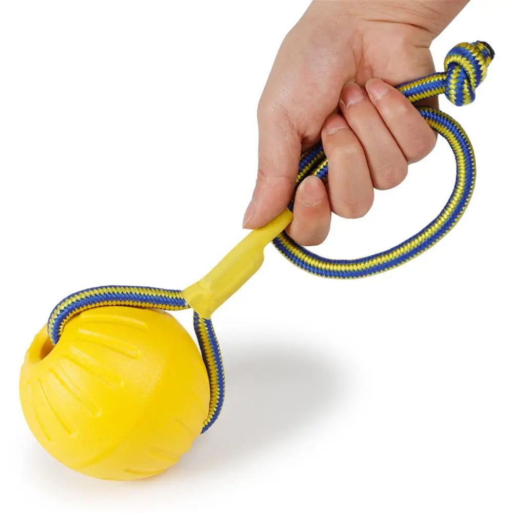 Durable Rubber Fetch Ball for Dogs and Cats