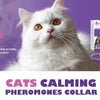 A white cat is featured alongside a box of calming pheromone collars for cats and dogs.