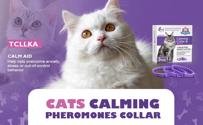 A white cat is featured alongside a box of calming pheromone collars for cats and dogs.