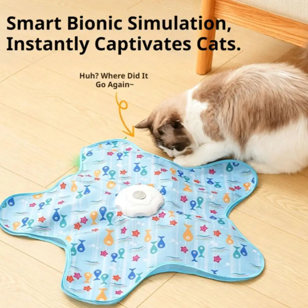 Interactive Hide-and-Seek Cat Toy with Feather Teaser