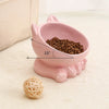 Ceramic Cat Bowl with High Feet for Pet Feeding