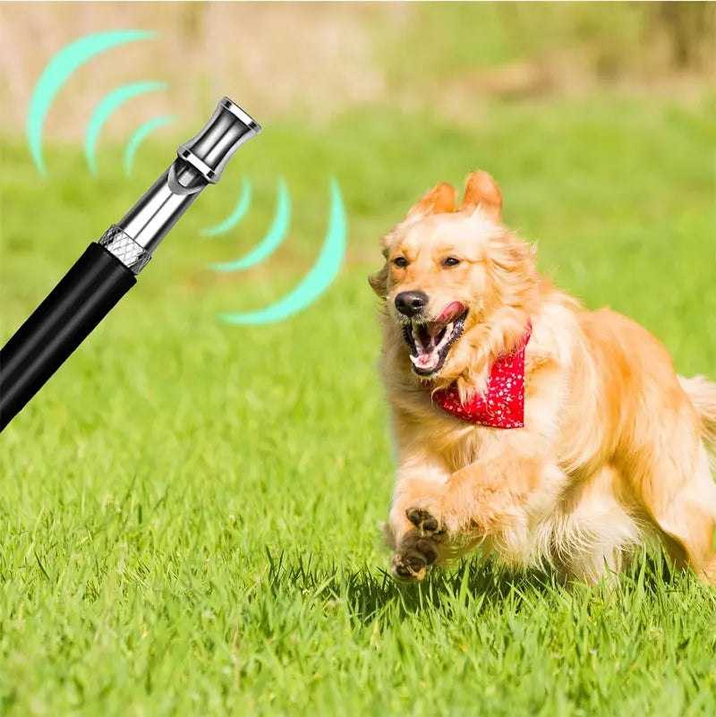 A golden retriever dog is shown outdoors on green grass next to an adjustable ultrasonic dog whistle.